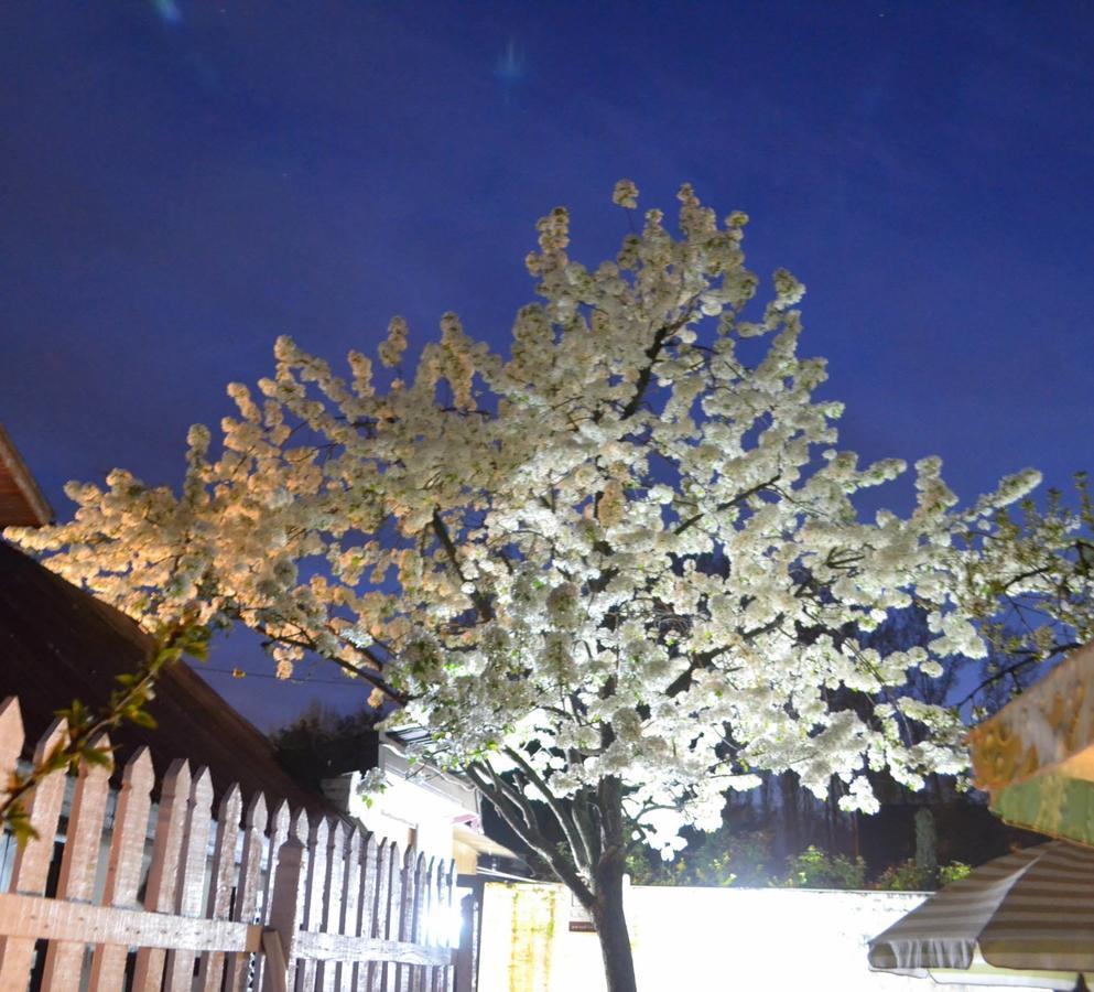 Dove Cottage Srinagar  Exterior photo